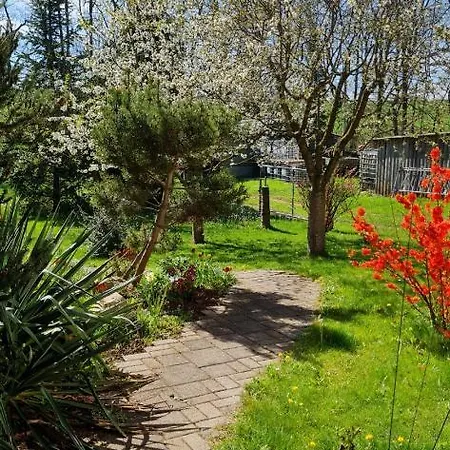 Apartment Spatzenvilla